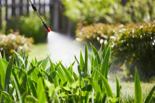 24/7 Emergency Mosquito Control experts in Marion, IN